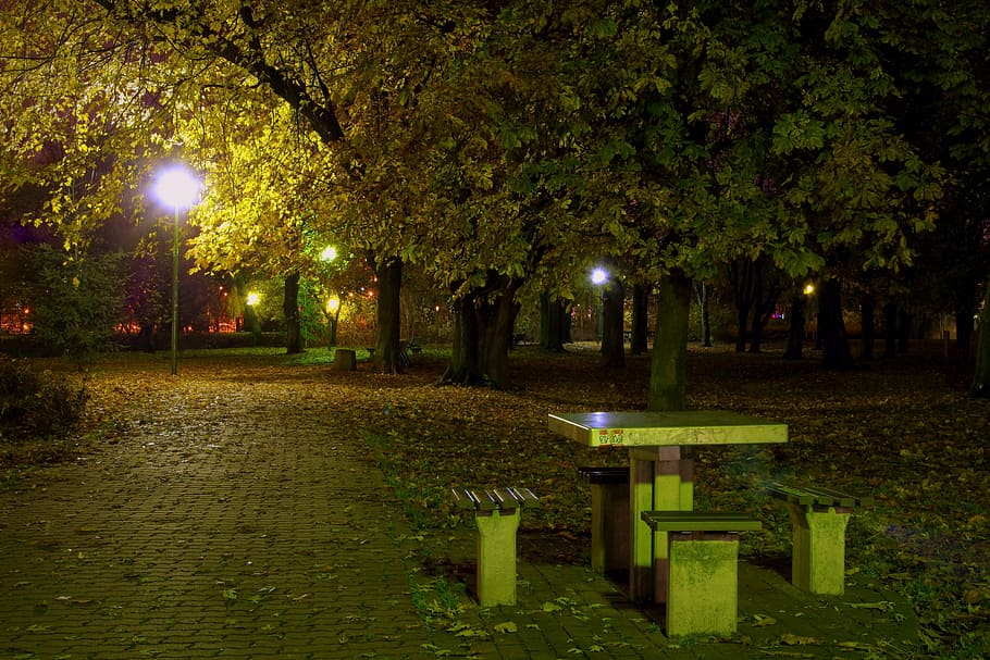 park, evening, night, lamp, dining table, sleep, relaxation HD wallpaper