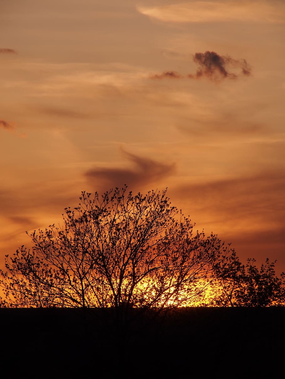 evening, sunset, landscape, clouds, nature, sky, outdoor, orange HD wallpaper