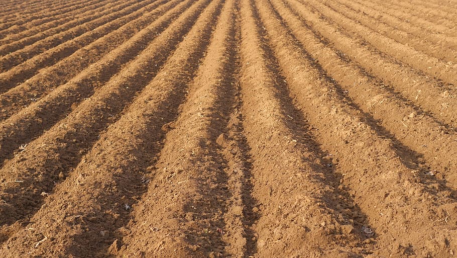 brown cultivated field at daytime, farmland rut, arable, furrow, HD wallpaper