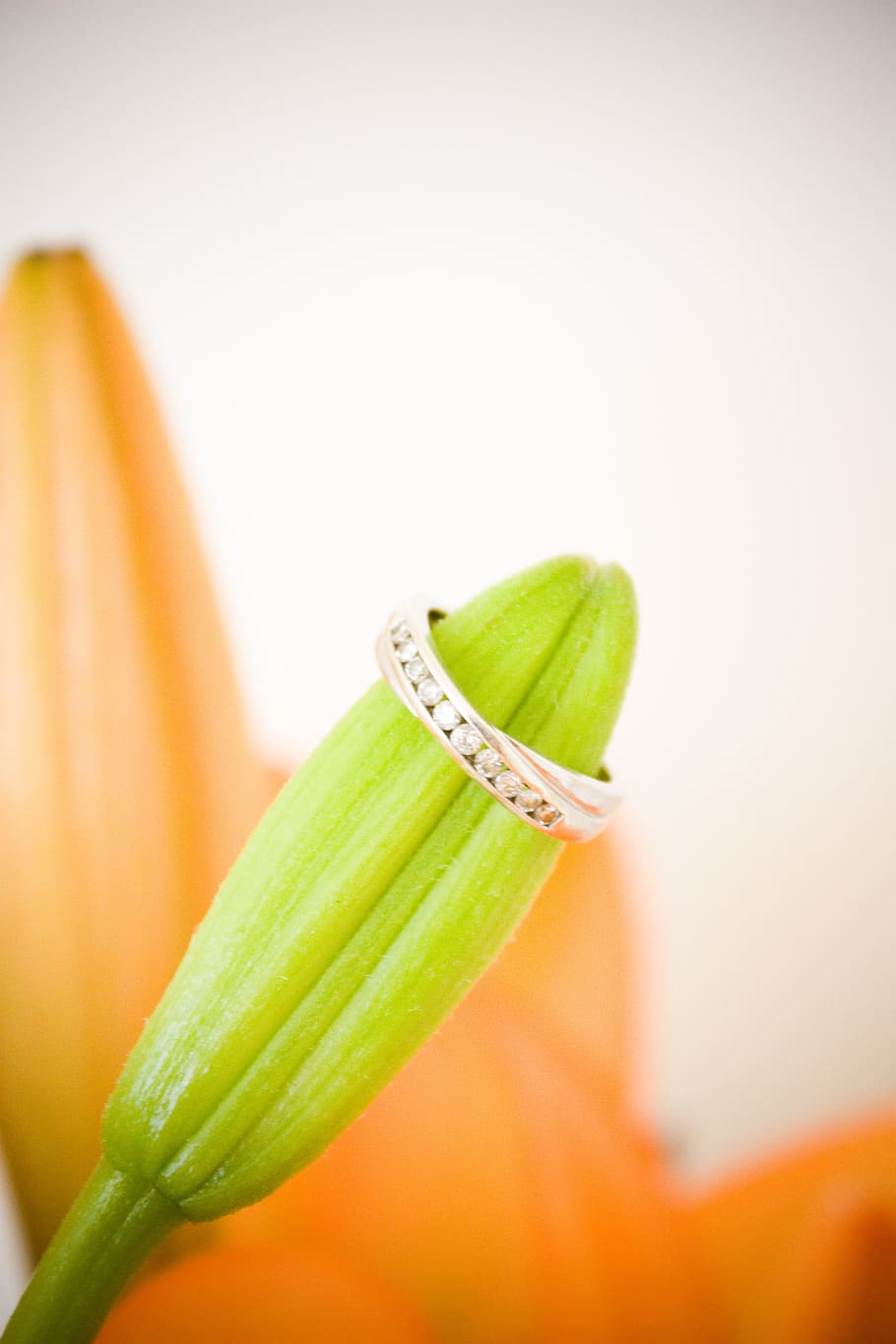 green flower bud with silver-colored ring, Engagement, Ring HD wallpaper