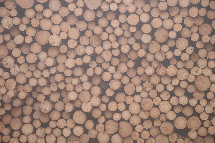 pile of firewoods, untitled, log, stack, lumber, timber, wood wall HD wallpaper