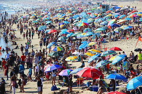 people on beach during daytime, group of people sunbathing on shore HD wallpaper