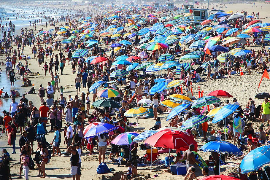 people on beach during daytime, group of people sunbathing on shore HD wallpaper