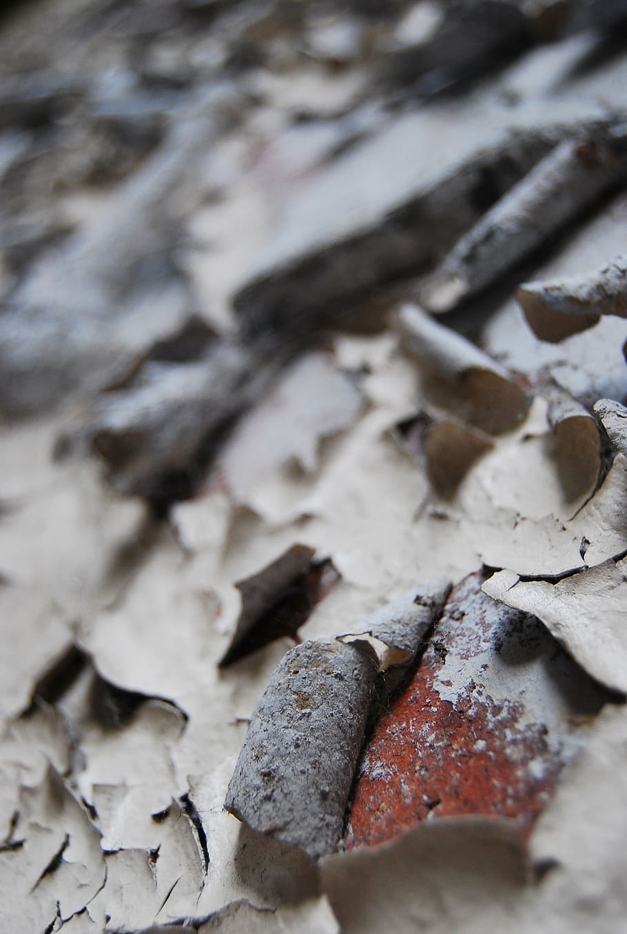 paint, peeling, curled, weathered, wall, texture, aged, cracked HD wallpaper