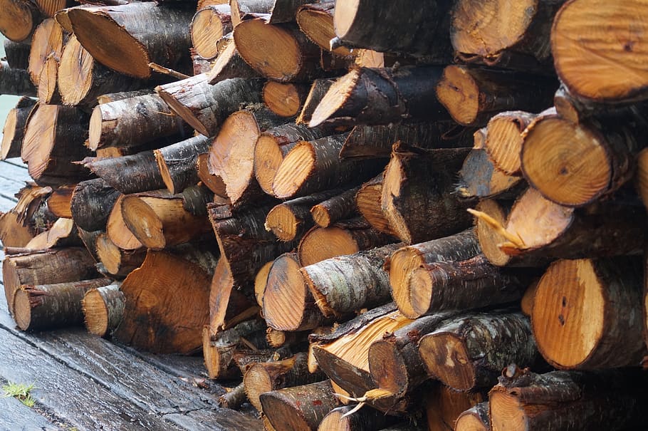 wood, tree, trunk, wood - material, timber, log, firewood, lumber industry HD wallpaper