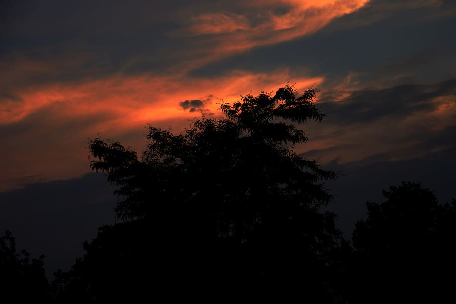 Evening, Night, Sky, Tree, Afterglow, evening sky, clouds, abendstimmung HD wallpaper