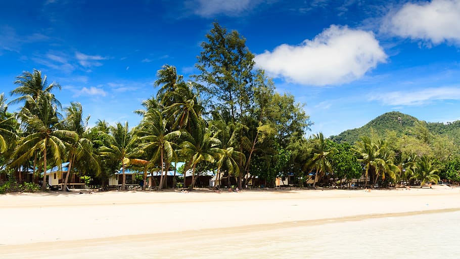 Beach, Sand, Sand, Sea, Clouds, Trees, View, palms, thailand HD wallpaper