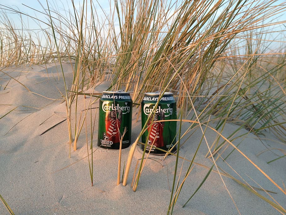 beer cans, beach, dune, outdoors, nature, plant, day, no people HD wallpaper