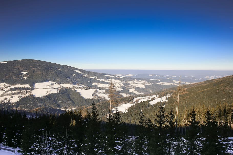 Winter is Leaving, austria, cold, forest, hills, mountains, nature HD wallpaper