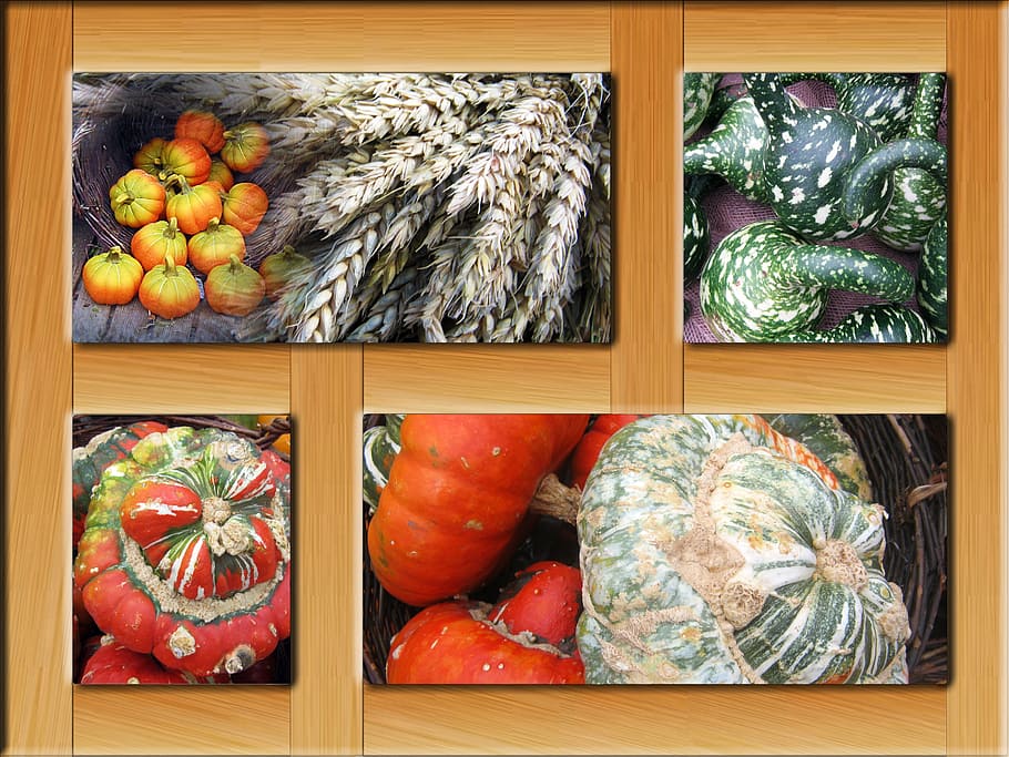 Poster, Frame, Decoration, autumn, colorful, october, pumpkins HD wallpaper