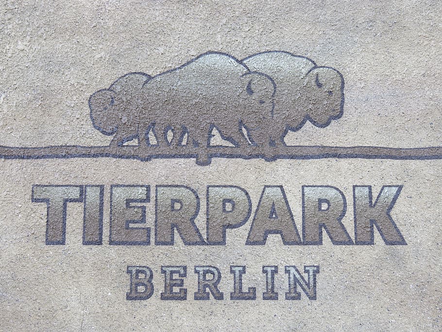 zoo, berlin, park, wall art, directory, shield, logo, direction indicator, HD wallpaper
