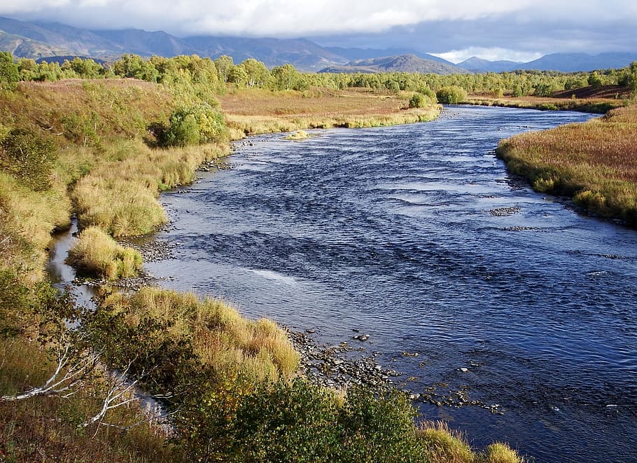 river, back on track, for, water, beach, bend, turn the river HD wallpaper