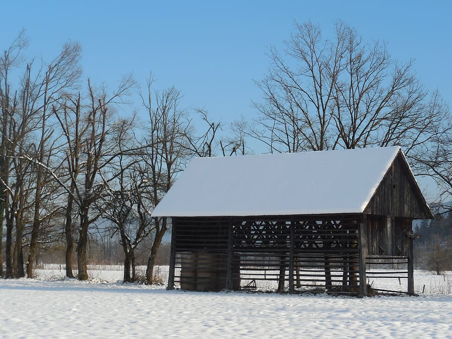 barn, winter, snow, cold temperature, bare tree, architecture HD wallpaper
