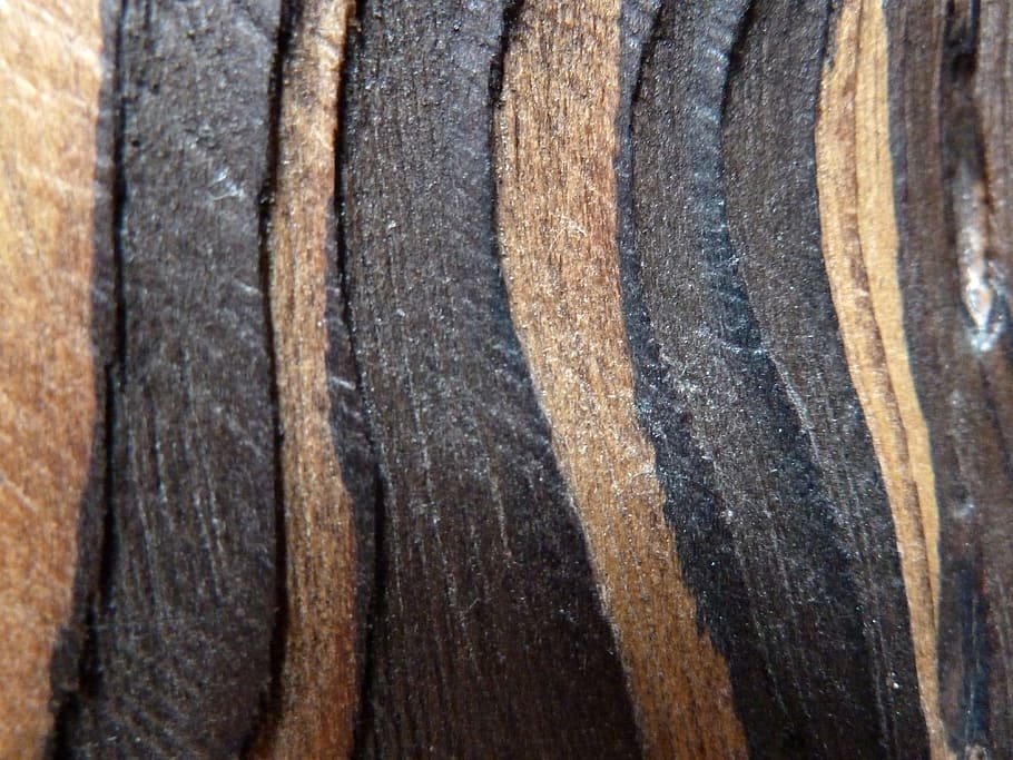 Wood, Structure, Painted, Texture, background, plank, design HD wallpaper