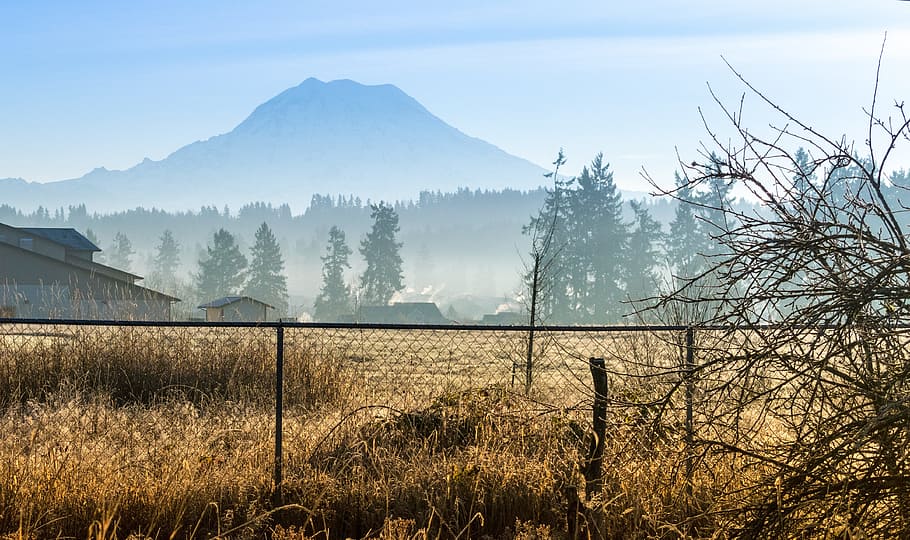 grasses and fences, rainier, mount, seattle, washington, mountain HD wallpaper