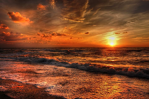 landscape photography of seashore, Denmark, Sun, Nature, summer HD wallpaper