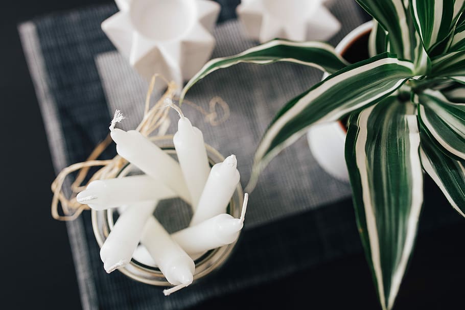 Close-ups of miscellaneous items, closeup, beautiful, flower HD wallpaper