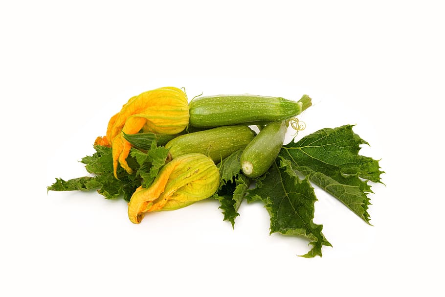 leaf, healthy, food, isolate, vegetable, nutrition, nature HD wallpaper