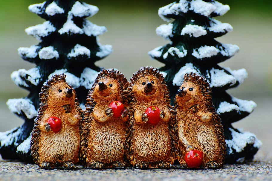 winter, hedgehog, apple, cute, sweet, figure, wintry, deco HD wallpaper