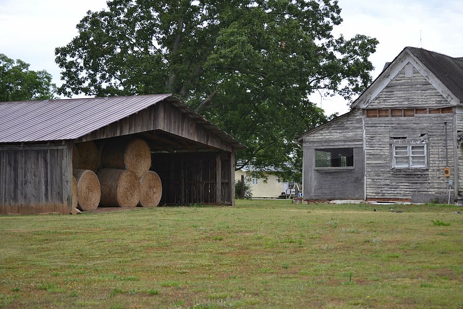 weathered, farm, rural, old, architecture, agriculture, landscape HD wallpaper
