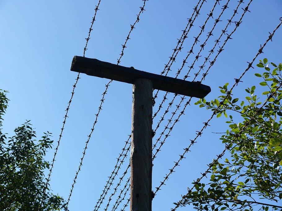 barbed wire, border, security, defense, low angle view, sky HD wallpaper