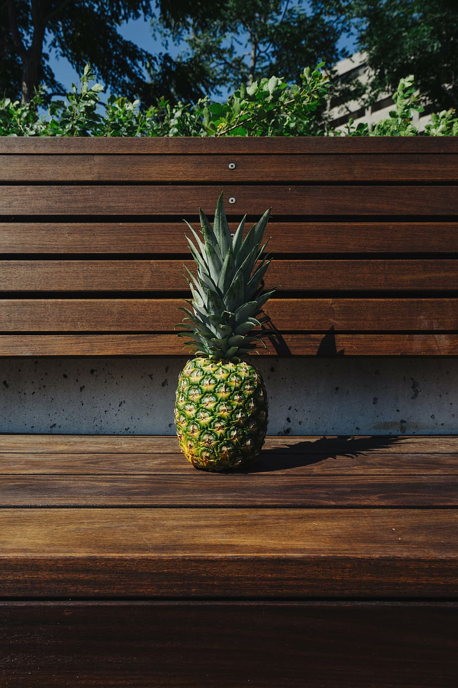 bench, fruit, pineapple, plants, summer, summer vibes, summertime HD wallpaper