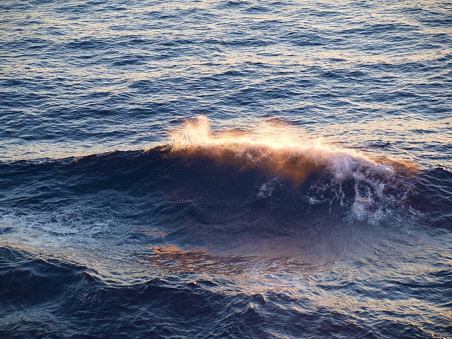 close up photo of sea waves, sun, spray, motion, water, beauty in nature HD wallpaper