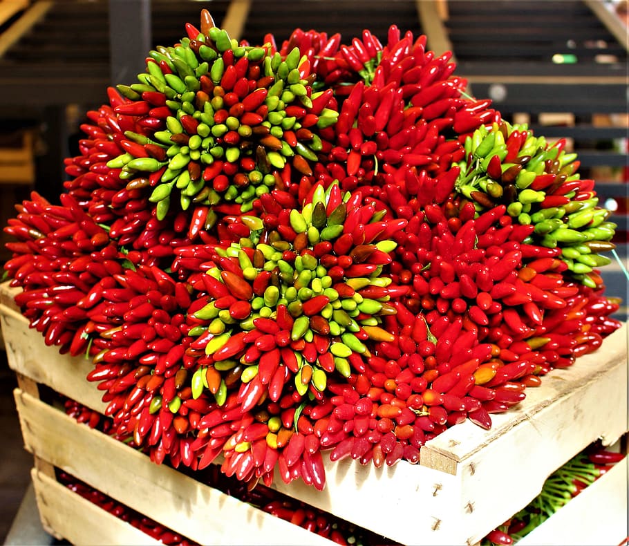 pepper, spices, market, red, green, strong, mat, vegetables, HD wallpaper
