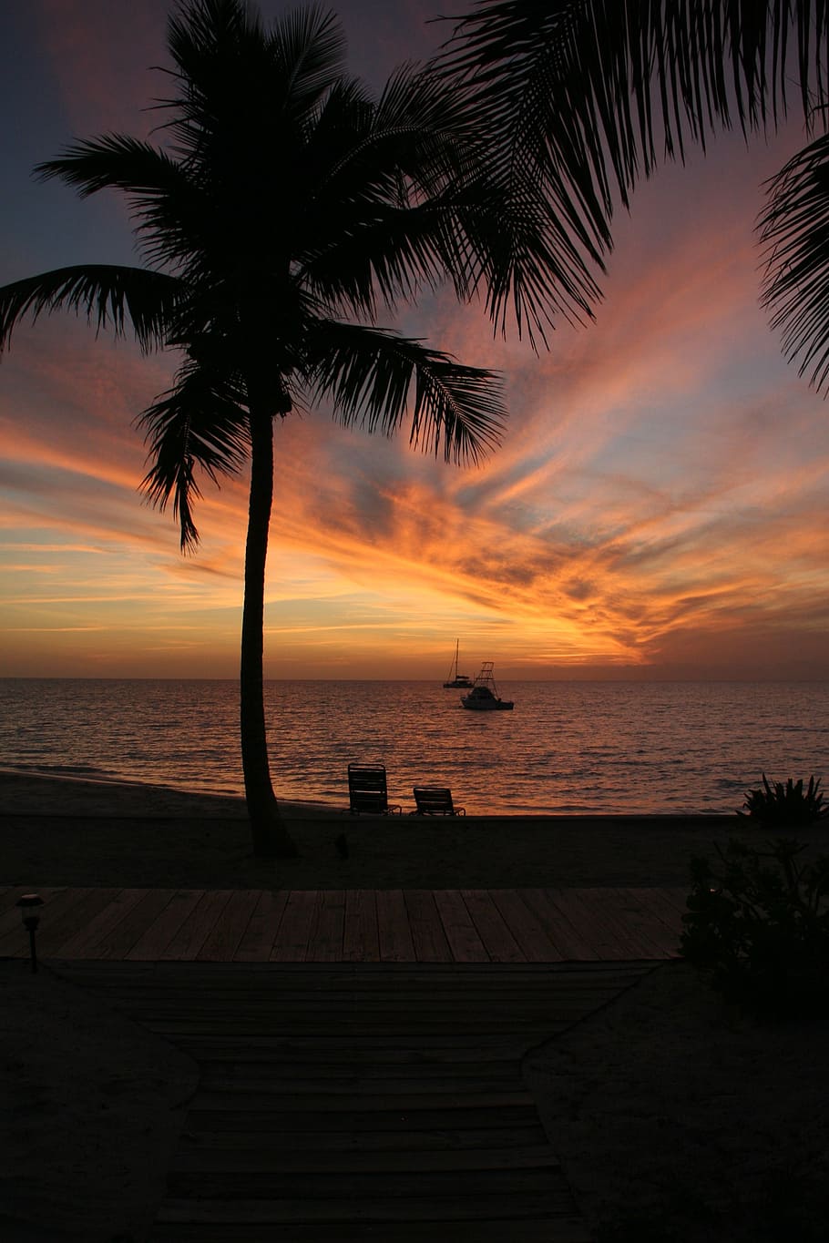 palm, sunset, silhouette, sky, evening, dusk, nature, vacation HD wallpaper
