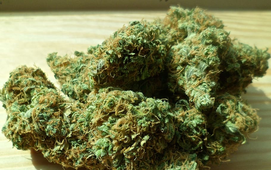 HD wallpaper: green cannabis buds, marijuana, drug, weed, medical, leaf,  plant | Wallpaper Flare