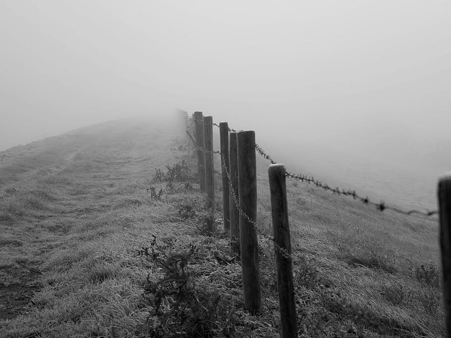 grayscale photo of wooden fence on grass field while fogging, grayscale photo of fence covered in fog HD wallpaper