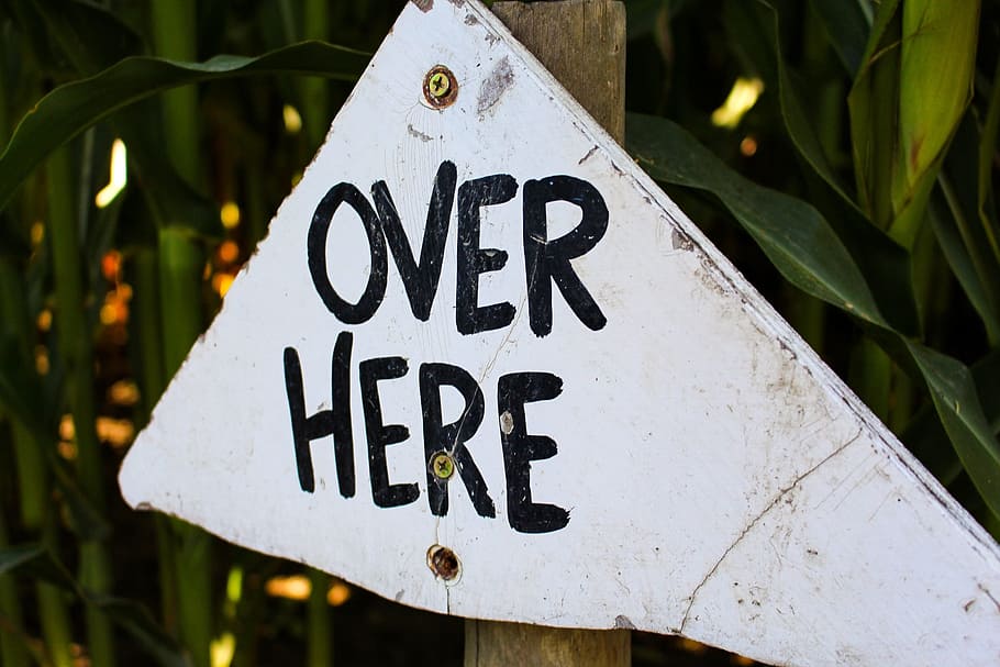 nature, street, sign, blur, caution, close-up, daylight, focus HD wallpaper