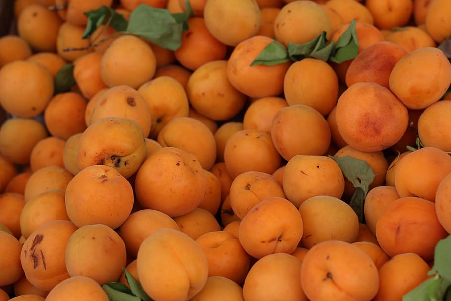 apricot, fruit, background, fresh, food, closeup, on the market HD wallpaper