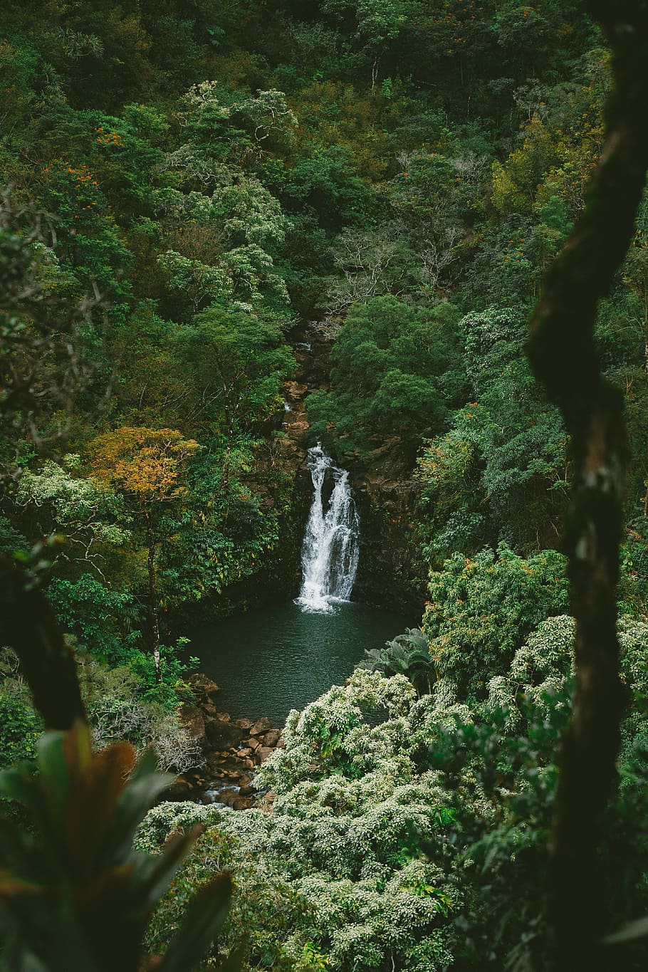 HD Wallpaper Time Lapse Photography Of Waterfalls Surrounded With Trees Waterfalls Surrounded