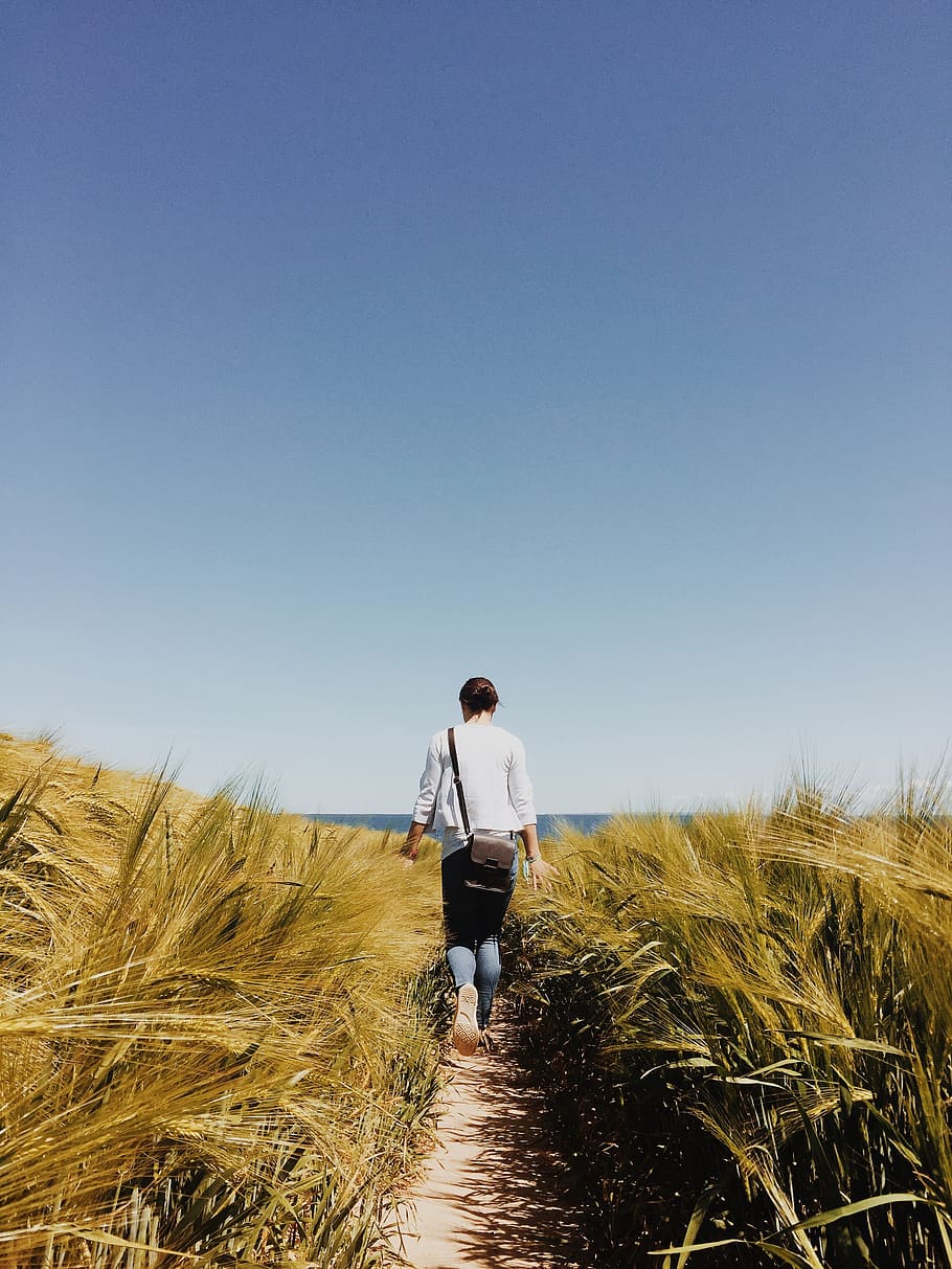 woman walking of wheat field, woman wearing white dress shirt and blue jeans on grass during daytime HD wallpaper