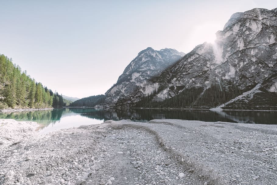 cold, snow, landscape, mountains, daylight, environment, forest HD wallpaper