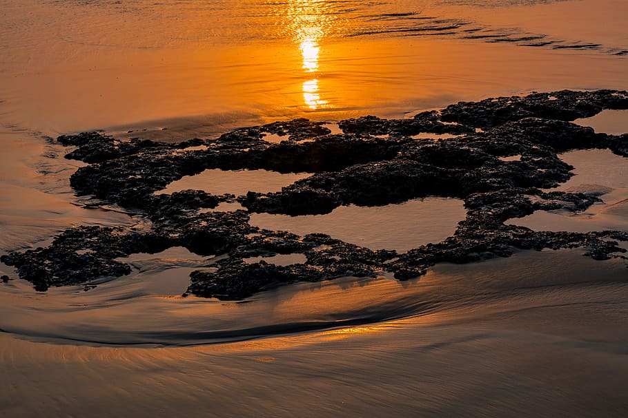 sunset, beach, ocean, sea, beach sunset, water, summer, vacation HD wallpaper