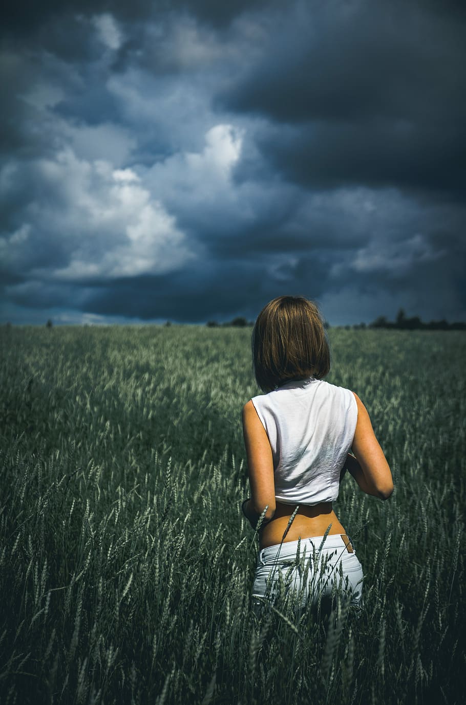 woman in sleeveless top on plants field, woman in white crop top and jeans walking in grassland under cloudy skies HD wallpaper