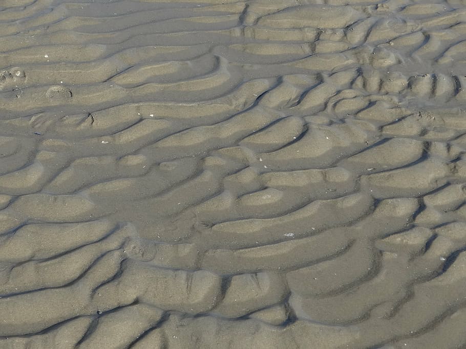 sand, beach, wet, waves, sea, sandy beach, drawing, beige, ocean HD wallpaper