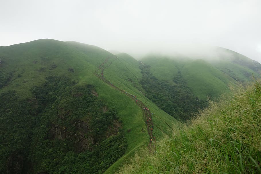 wugongshan, cloud, vegetation, plant, tranquility, landscape HD wallpaper