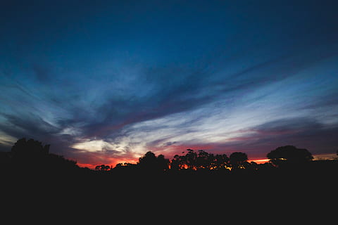 silhouette-dark-sky-clouds-trees-sunset-thumbnail.jpg