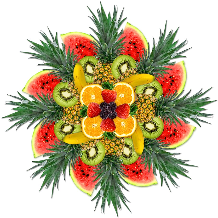 slices of watermelons and oranges, Cocktail, Fruit, Background, Color HD wallpaper
