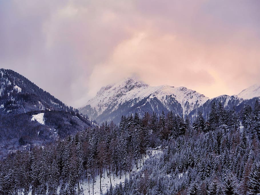 aerial photography of mountain with trees covered with snow, white mountain filled snow HD wallpaper