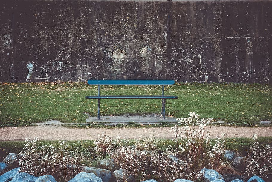 bench, green, grass, rocks, leaf, fall, seat, plant, empty HD wallpaper