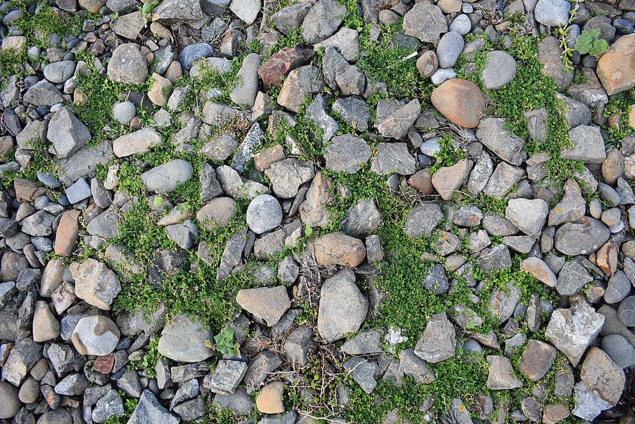 rocks, beach, surface, pattern, erosion, eroded, ocean, color HD wallpaper