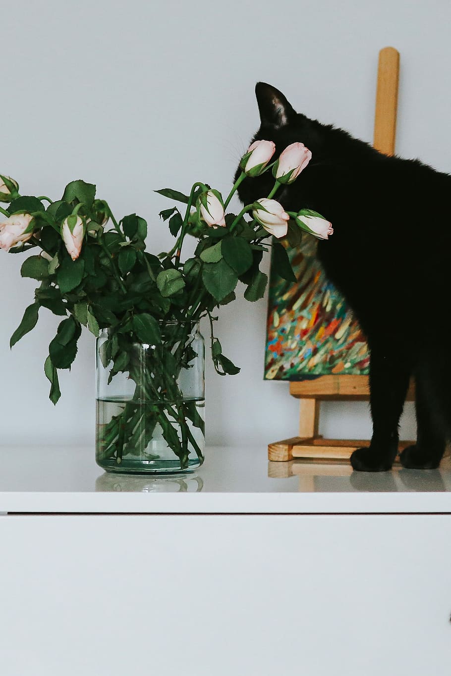 Black cat with flowers and a painting, roses, pet, animal, art
