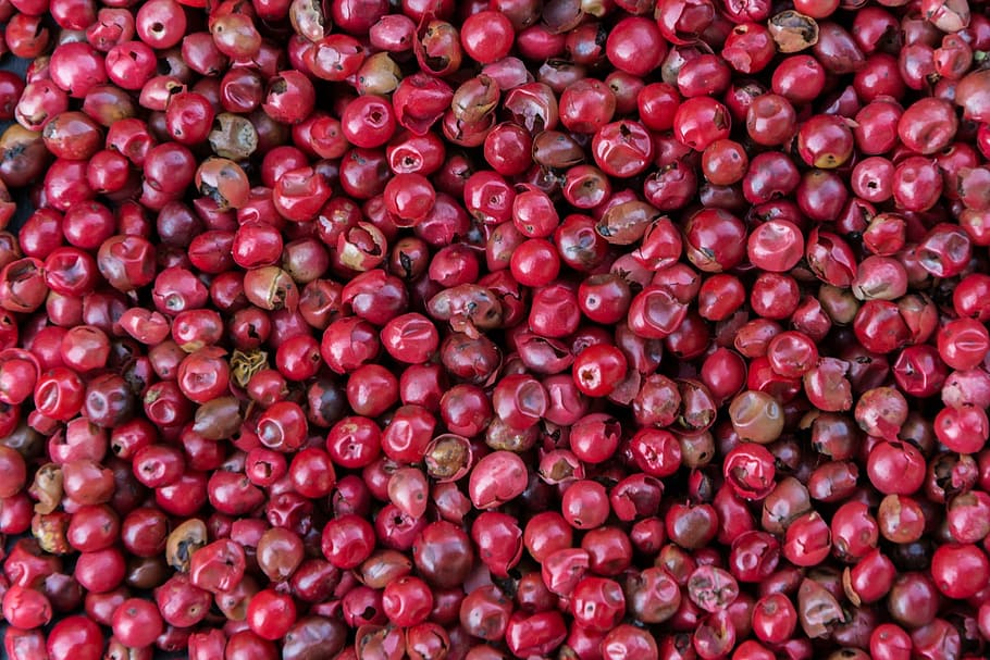 pink pepper, spice, kitchen, red, red bay, food, fruit, organic HD wallpaper