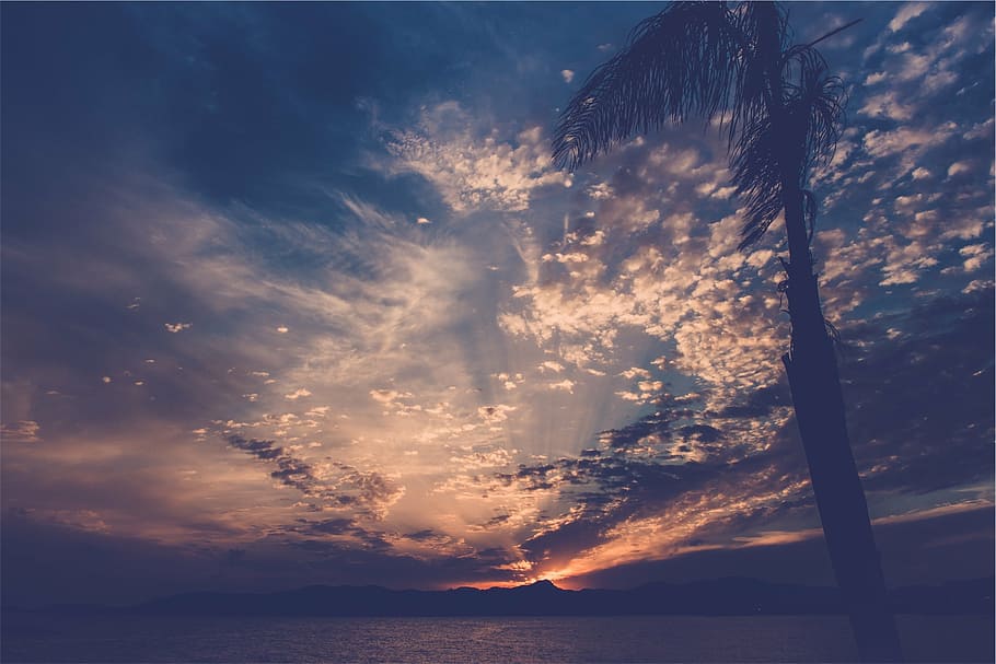 Columbus clouds, sunset, dusk, sky, night, dark, water, tree HD wallpaper