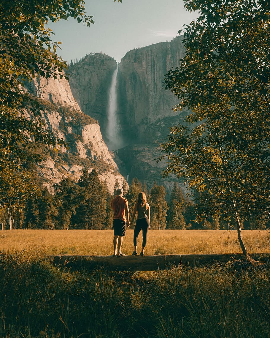 couple standing on tree trunk looking at field and forest, man and woman holding hands facing Angels Falls HD wallpaper