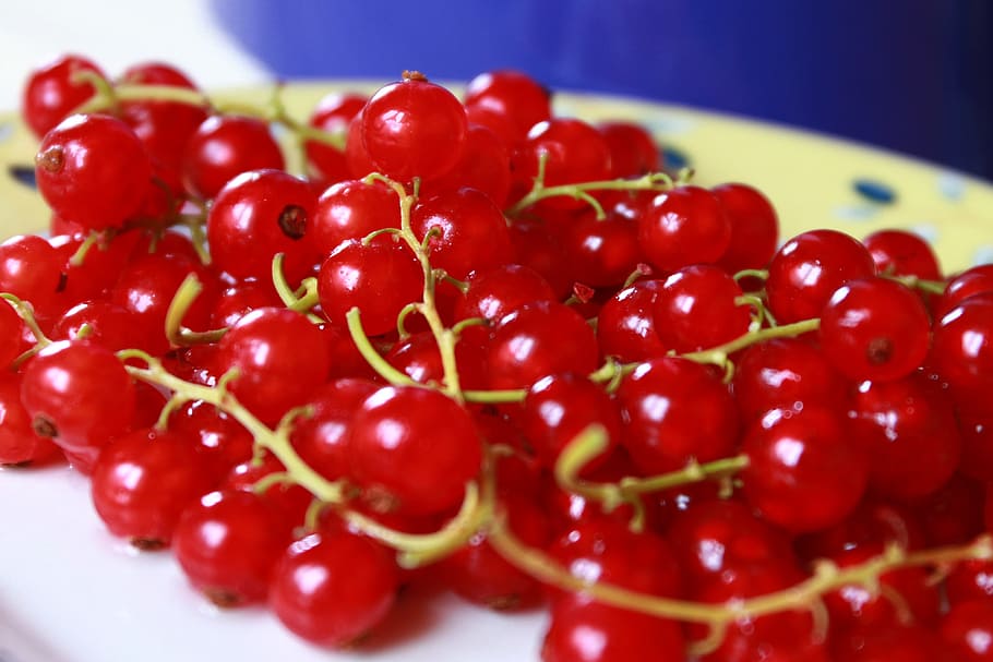 Currants, Red Fruit, Berries, red berries, food, red and blue HD wallpaper